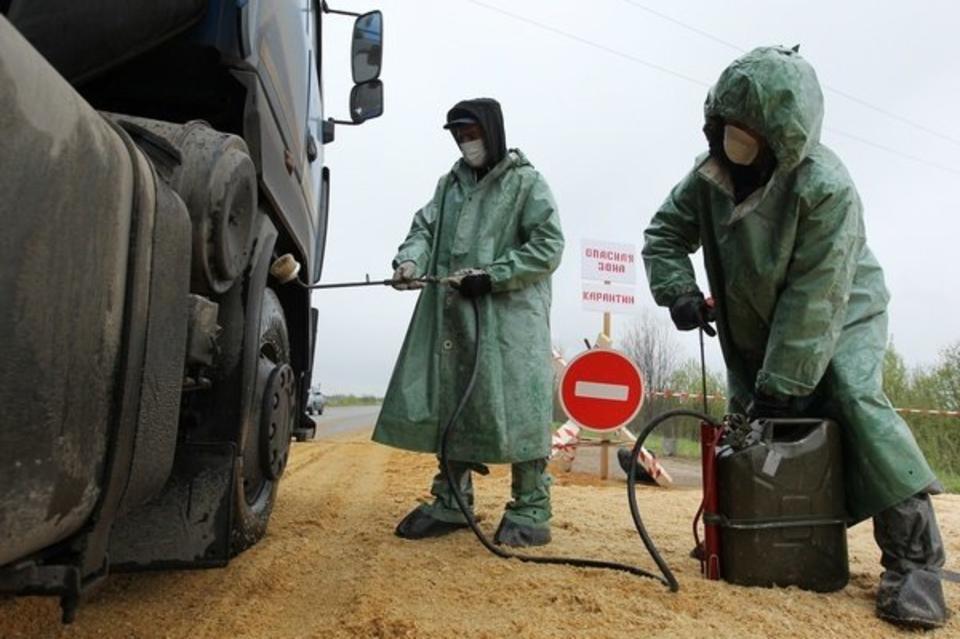 Ситуация с бубонной чумой стала хуже в соседних с Забайкальем странах