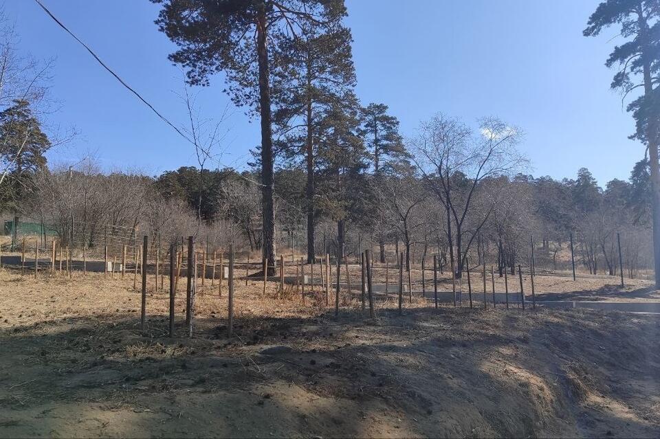 В регионе будет реализовано 56 проектов по благоустройству сельских территорий