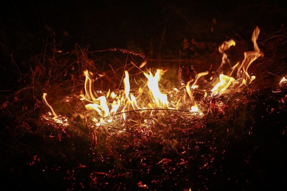 В Забайкалье за сутки зафиксировано 20 ландшафтных пожаров