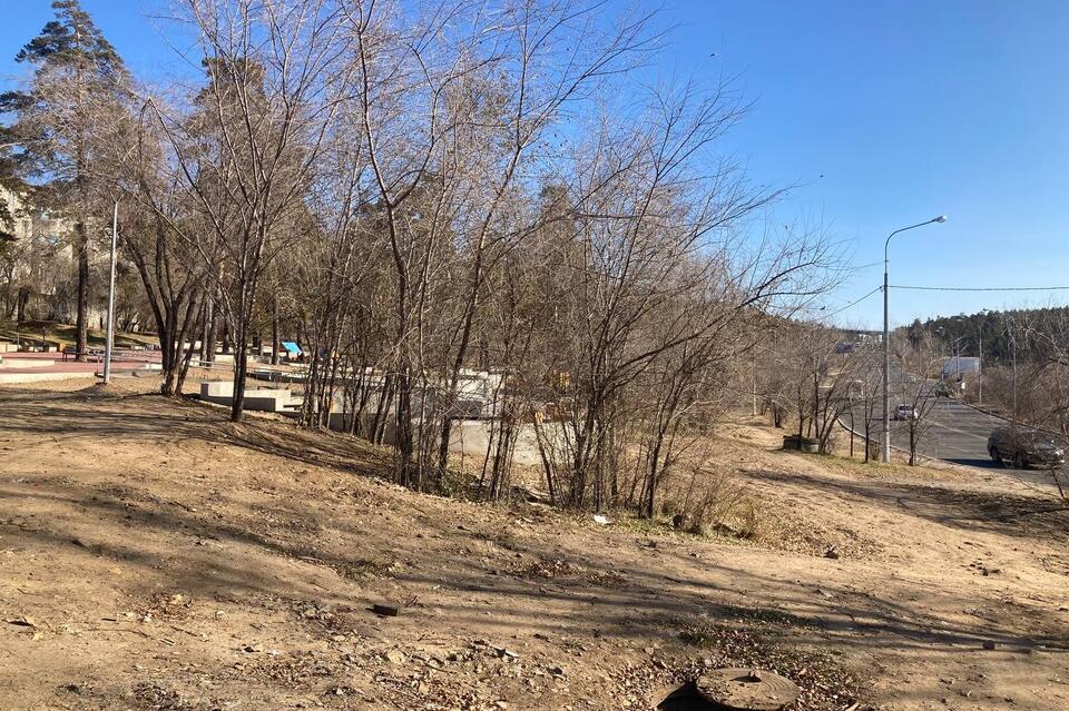 Читинцы предложили построить парковку рядом с Гагаринским парком