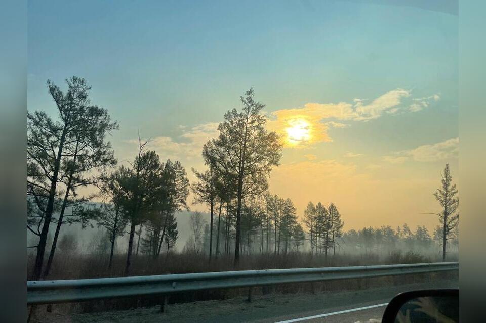 Какую погоду вы бы выбрали на август - опрос ZAB.RU