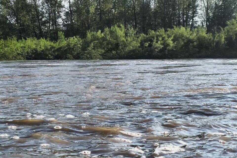 Минприроды Забайкалья: уровень воды в реке Чита падает