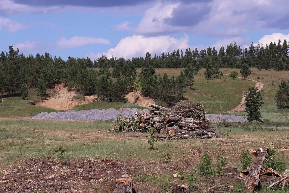 Крупнейший лесопромышленный холдинг хочет приватизировать лес в России