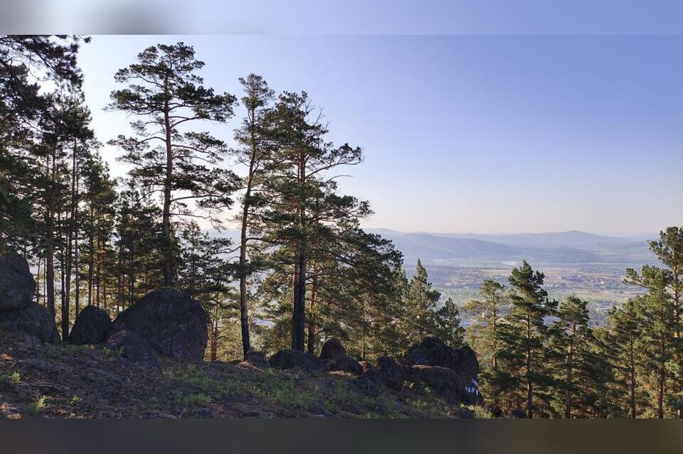 Гороскоп для жителей Забайкальского края на 14 августа