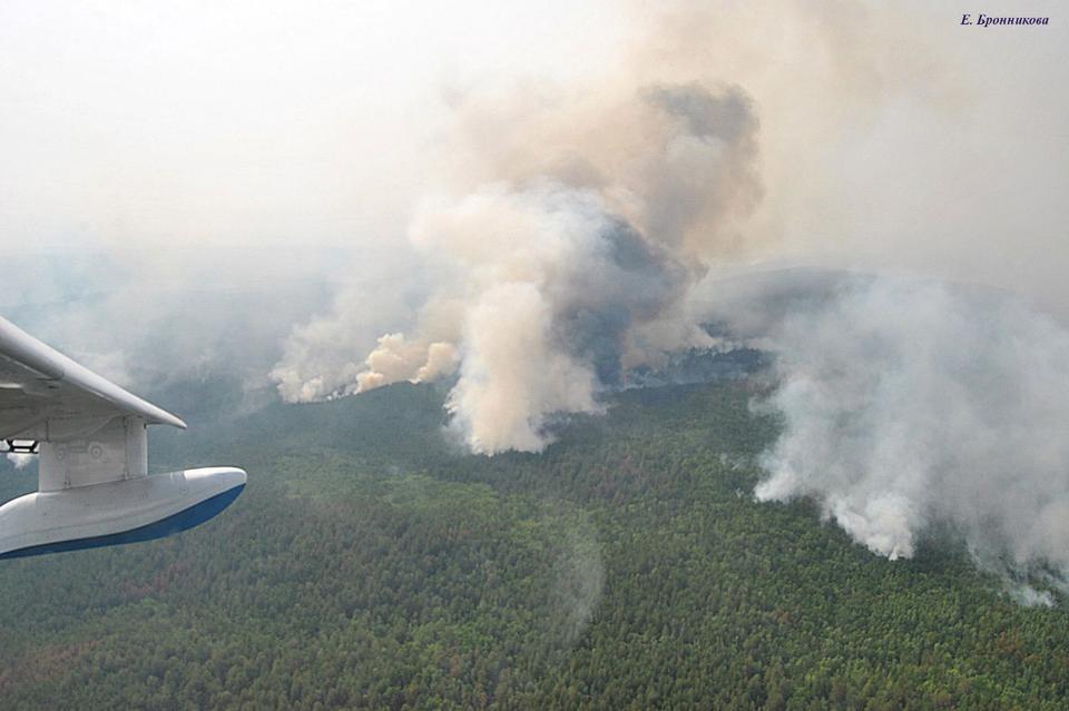 Минприроды заявило, что за сутки решило проблемы с неготовностью к лесным пожарам