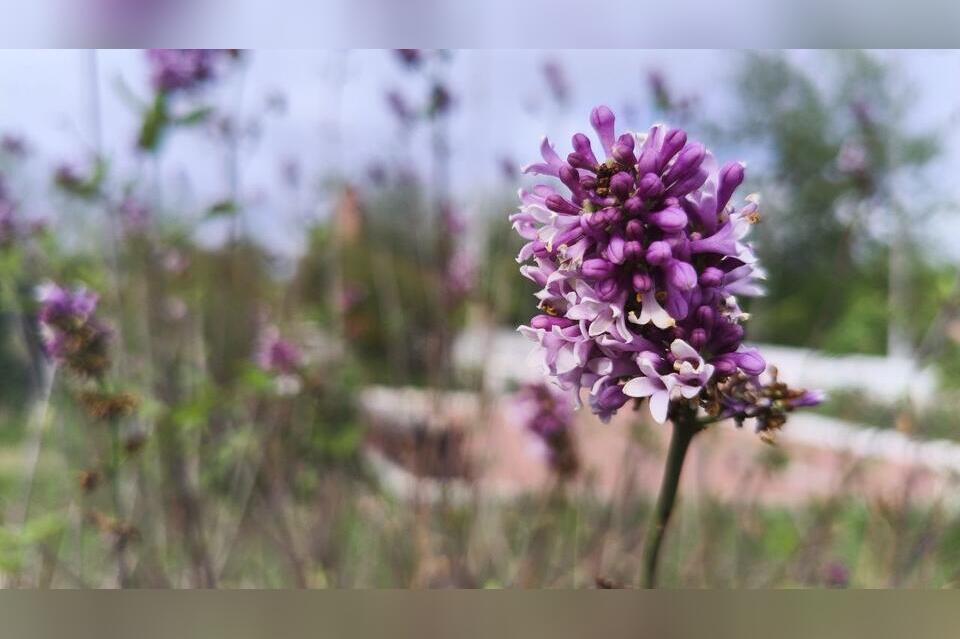 Гороскоп для жителей Забайкальского края на 21 августа