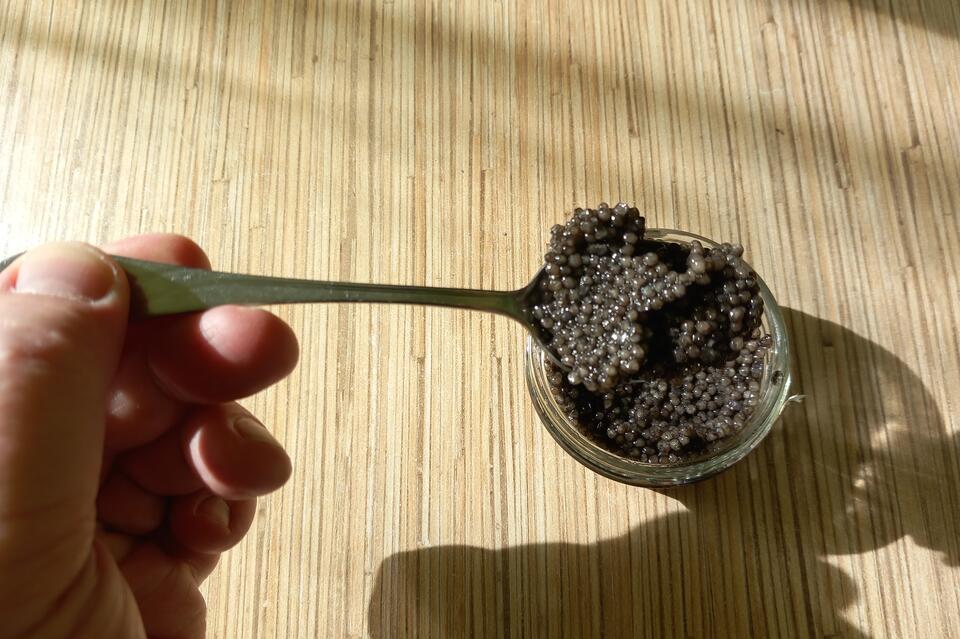 Для трёх категорий товаров ввели обязательную проверку маркировки