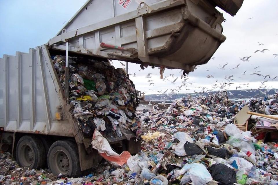 Торговые сети и общепит просят заморозить тарифы на вывоз мусора