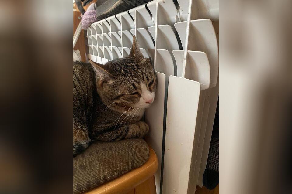 В Госдуме одобрили повышение штрафов за срыв подготовки к отопительному сезону