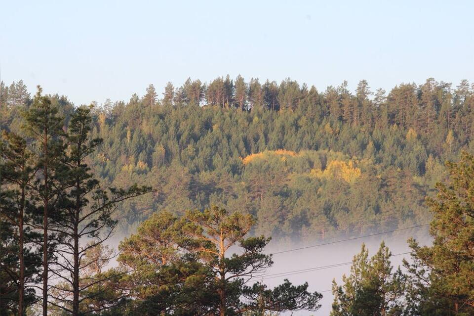 Небольшой дождь ожидается завтра в Забайкалье