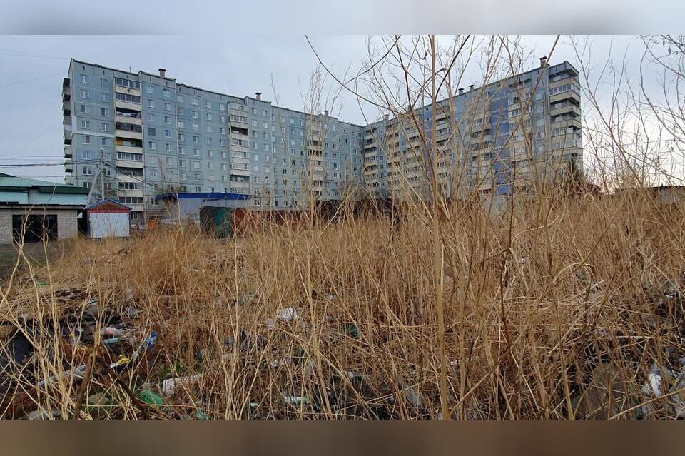 В Чите до конца ноября продолжат уборку и покос травы на газонах