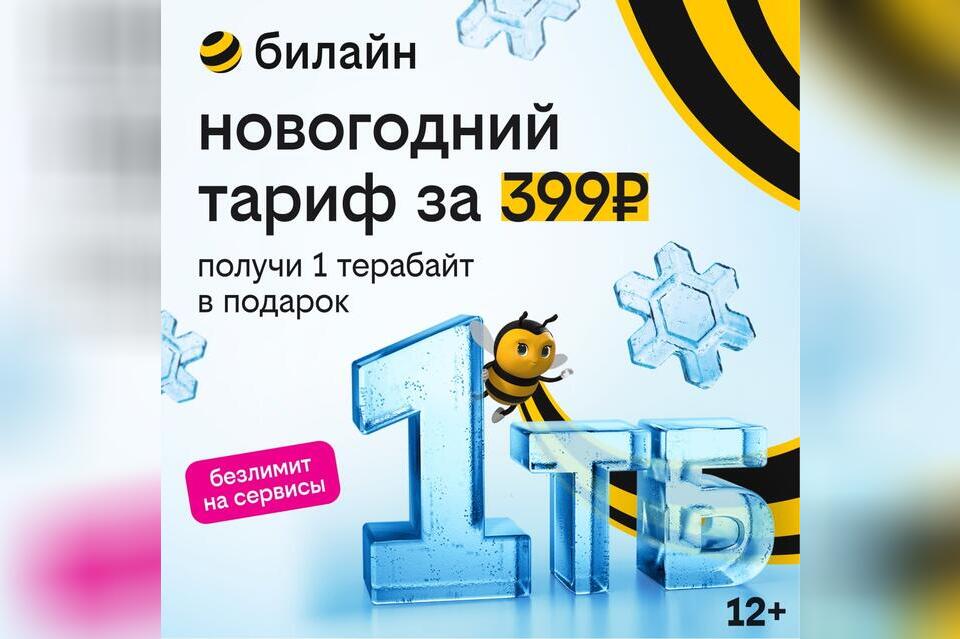 1 терабайт для всех: билайн дарит возможность забыть о трафике на целый год