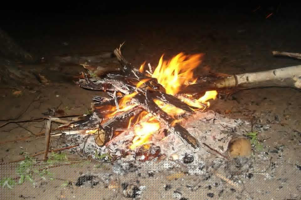 Потенциальных поджигателей заметили в Атамановке