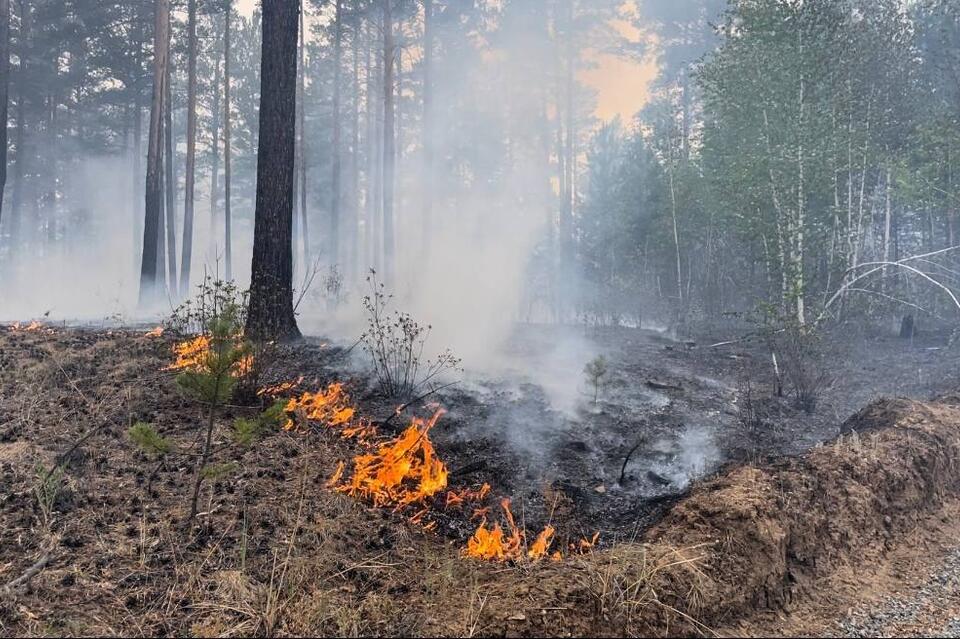 Около поселка Досатуй горела сухая трава