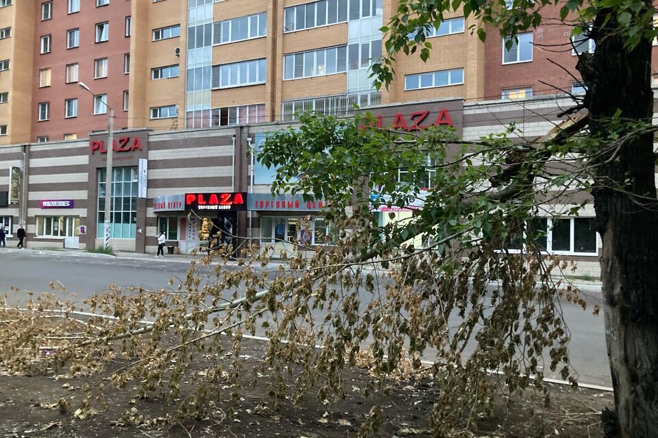 Щеглова поручила устранить последствия мощного ветра