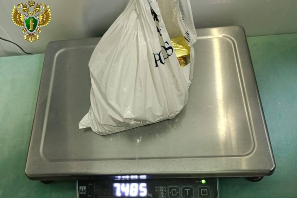 Иностранец пытался вывезти из региона 11 слитков золота на 7 млн рублей