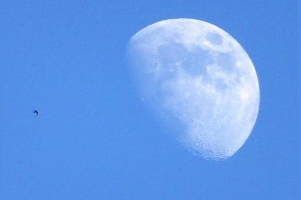 Полное лунное затмение смогут наблюдать забайкальцы 8 ноября
