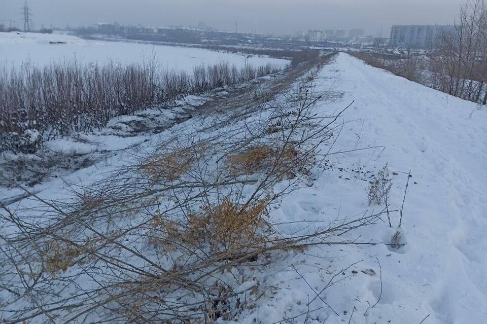 На дамбе реки Читы идёт зимняя срезка кустарника