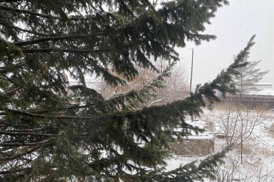 В Забайкалье ожидается небольшой снег