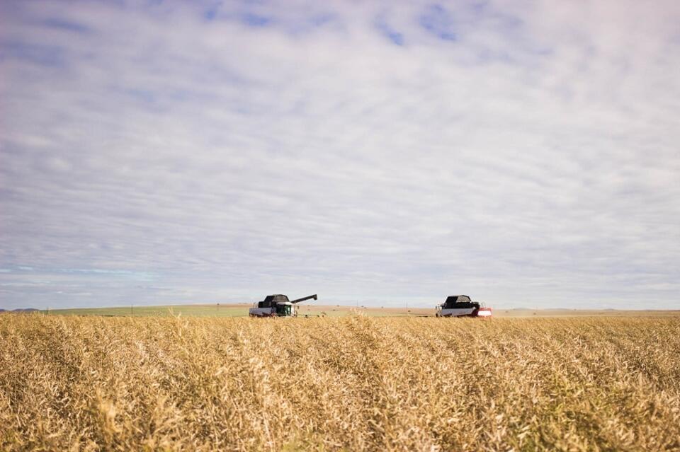 Россельхозбанк откроет «Школу фермера» в Забайкальском крае