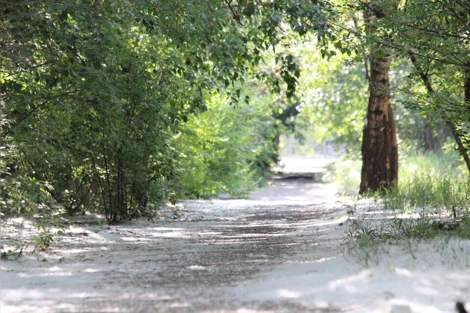 Забайкальцы не всегда доверяют прогнозам синоптиков