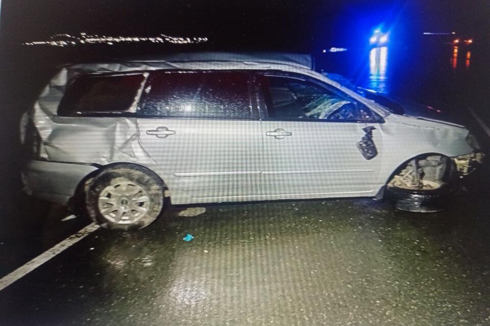 Водитель сбил корову на трассе «Чита-Забайкальск»