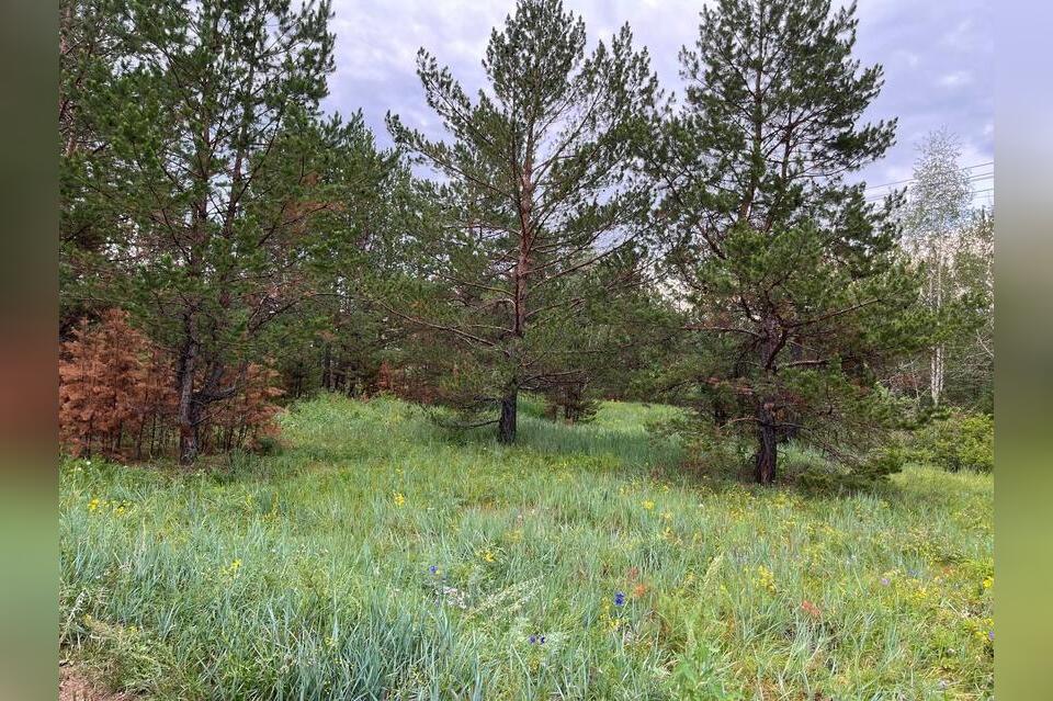 Более 30 рейдов провели охотинспекторы в лесах региона