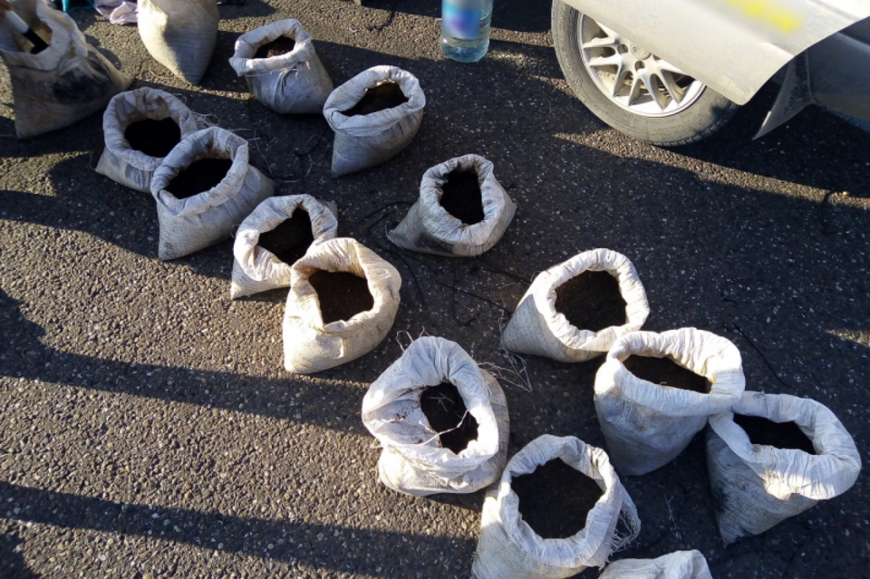 Читинца с почти двумя килограммами чистого золота задержали в Амурской области