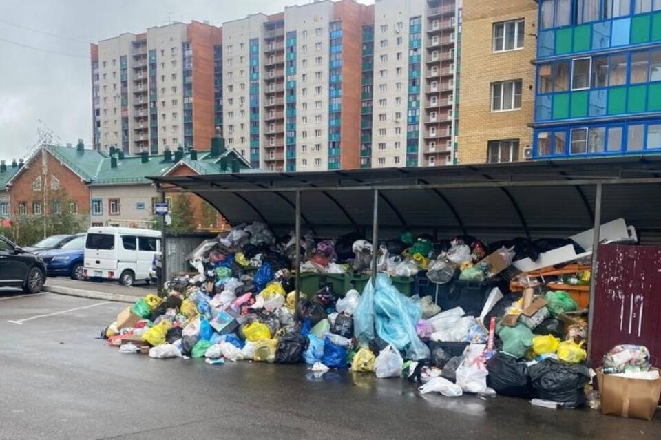 В мкр Царский не вывозят мусор около трех дней