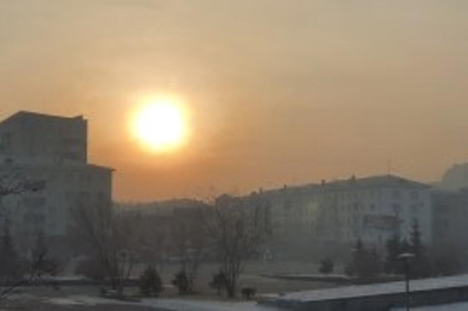 Большинство опрошенных считают себя жаворонками