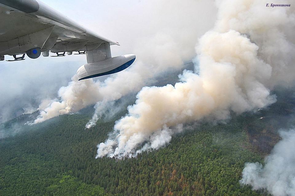 Забайкалье лидирует в ДФО по числу лесных пожаров