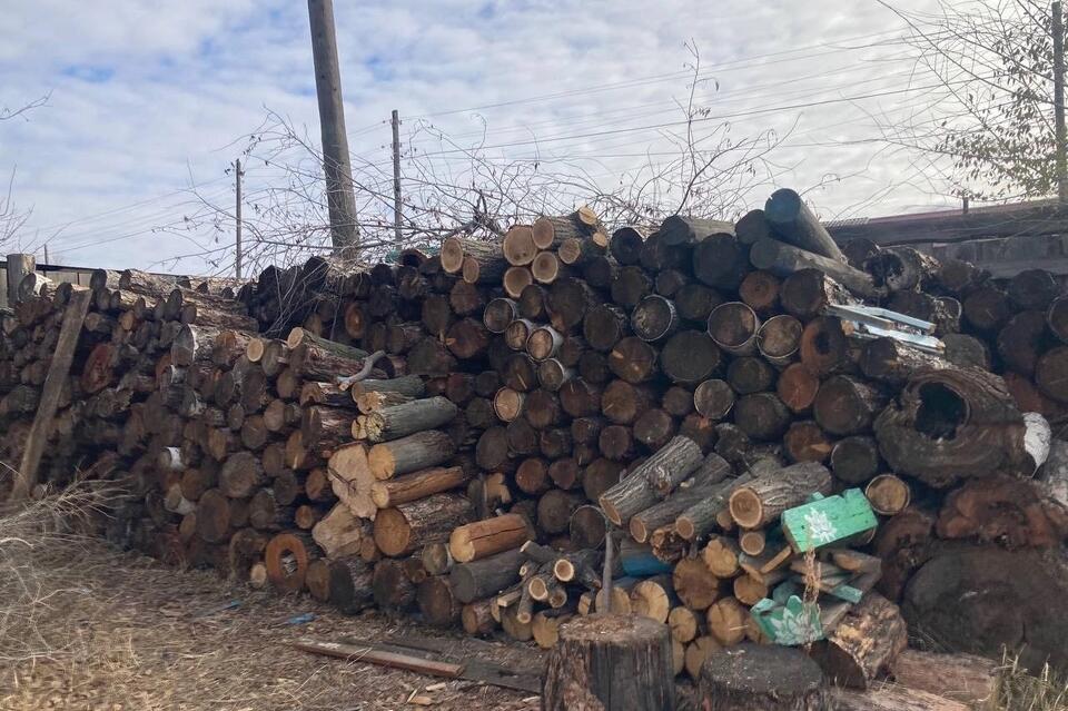 В Шилке мужчина украл дрова, чтобы натопить свой дом