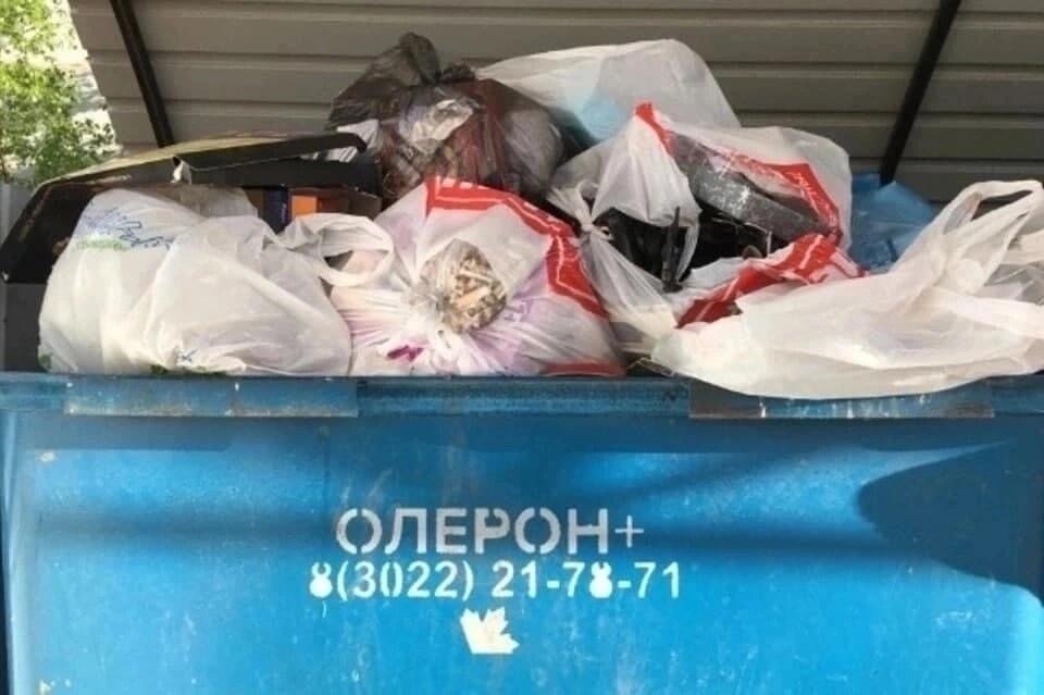 «Вывоз мусора в  Чите  будет стабильным со следующей недели» - Олерон+