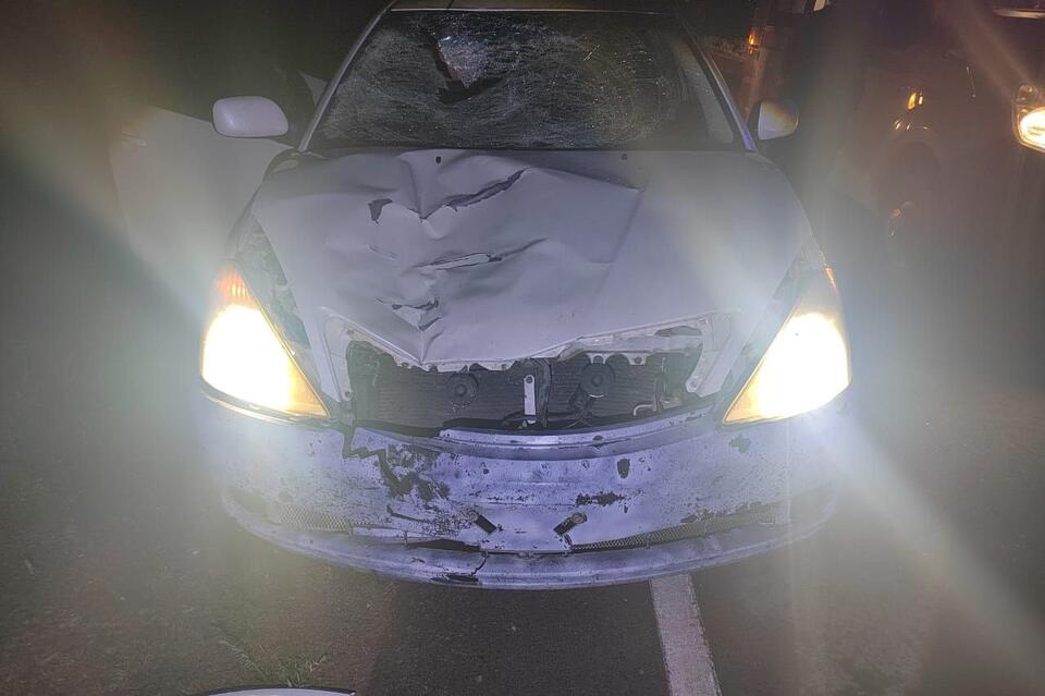 Водитель без прав сбил пешехода в Борзинском районе