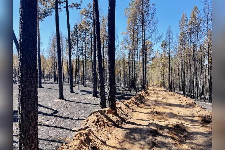 Пожарная опасность снизится к концу недели в Забайкалье