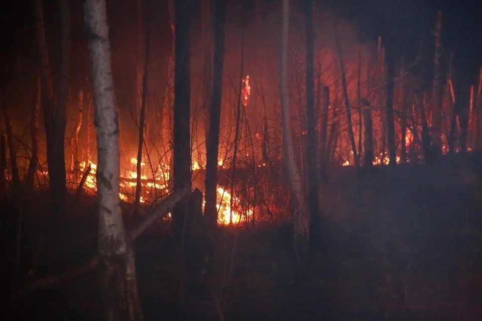 Десятки лесных пожаров действуют в крае