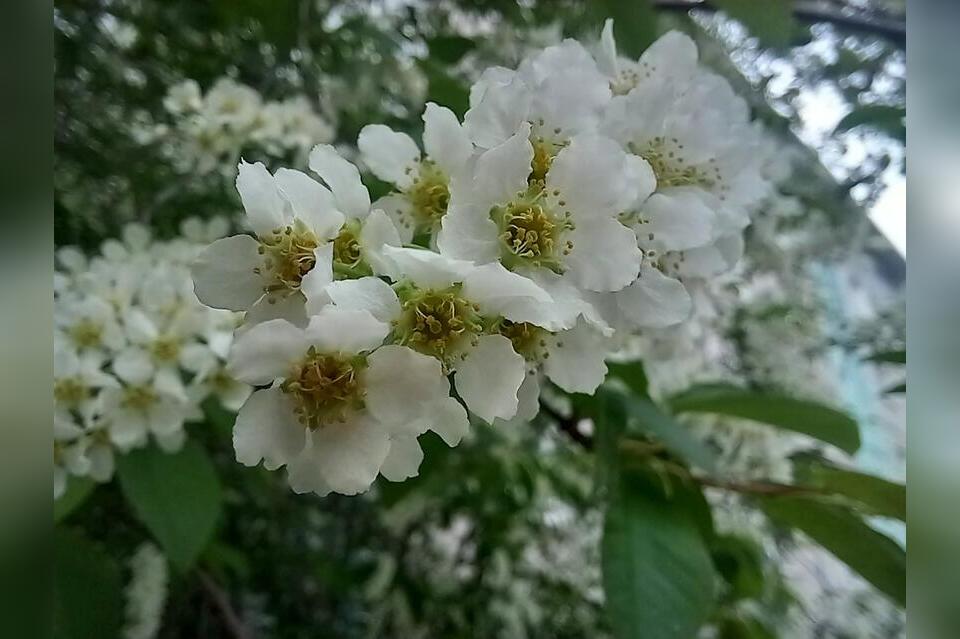 Гороскоп для жителей Забайкальского края на 8 июня