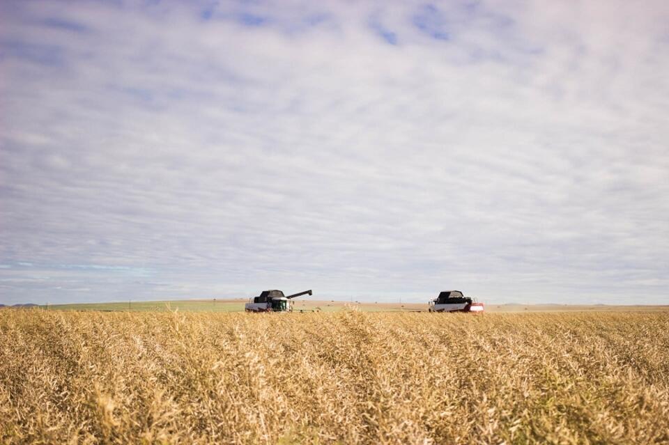 «Мангазея Агро» - инвестиционный потенциал Забайкальского края очень высокий