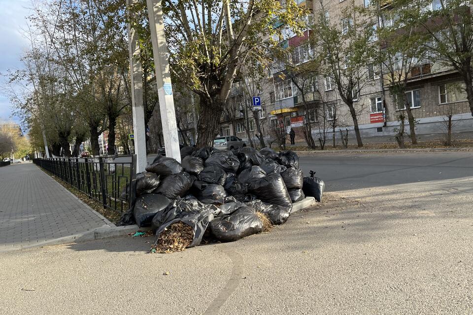 Общегородской субботник пройдёт в Чите