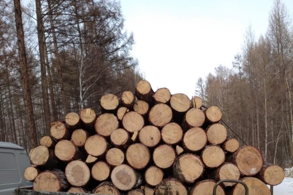 Забайкалец вырубил и продал лес на 4 млн рублей
