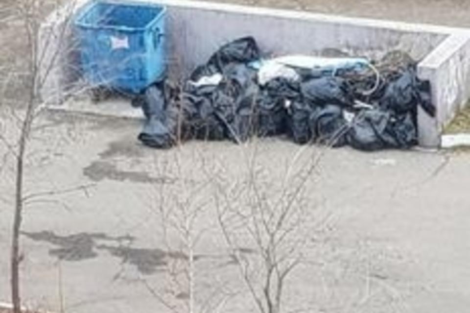 «Олерон+»: Оставшиеся после субботников мешки с мусором принадлежат администрации Читы