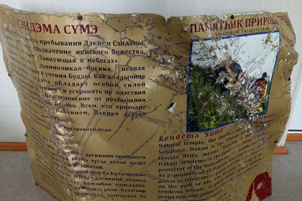 Медведи могут встретиться посетителям нацпарка «Алханай»