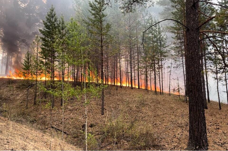 Юлия Меньшова рассказала о 14-летнем пожарном из Смоленки