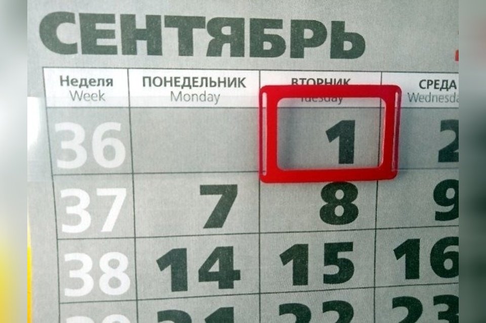 Треть родителей Читы опоздают на работу из-за школьных линеек