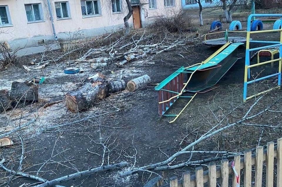 Жительница посёлка Кокуй пожаловалась на обрезку деревьев на детской площадке