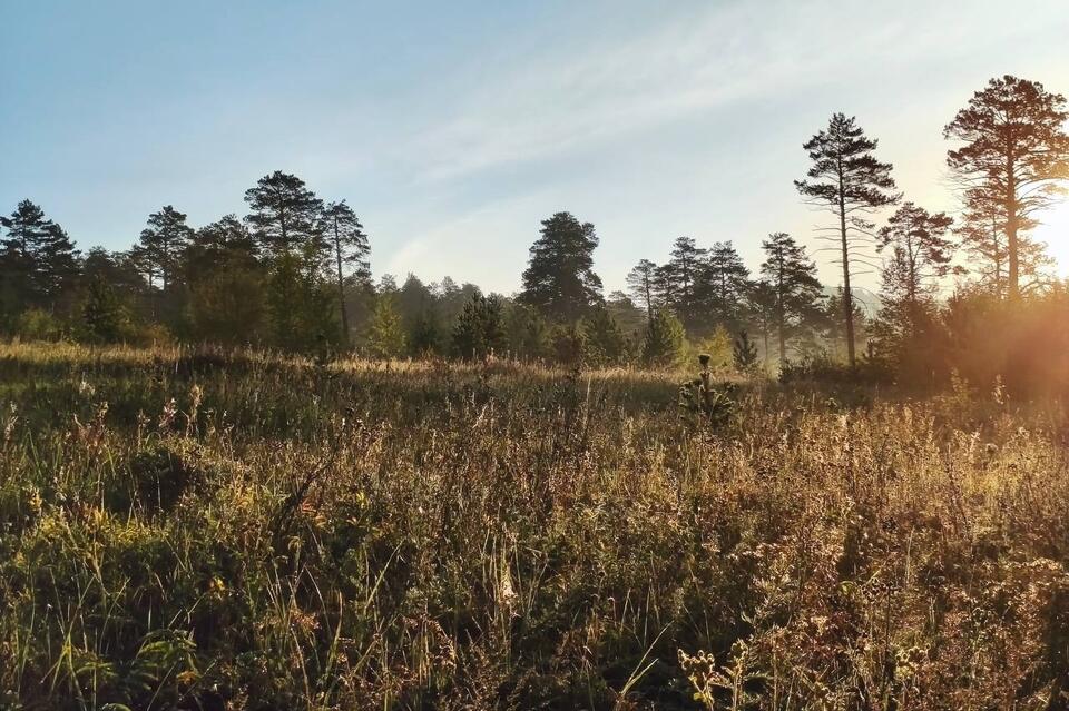 Прогноз погоды на неделю публикует ZAB.RU