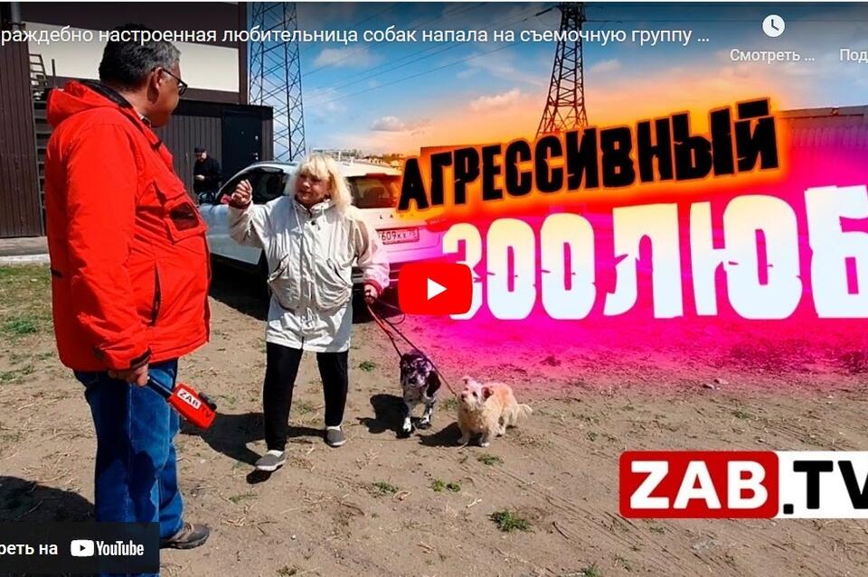 Враждебно настроенная любительница собак напала на съемочную группу ЗабТВ