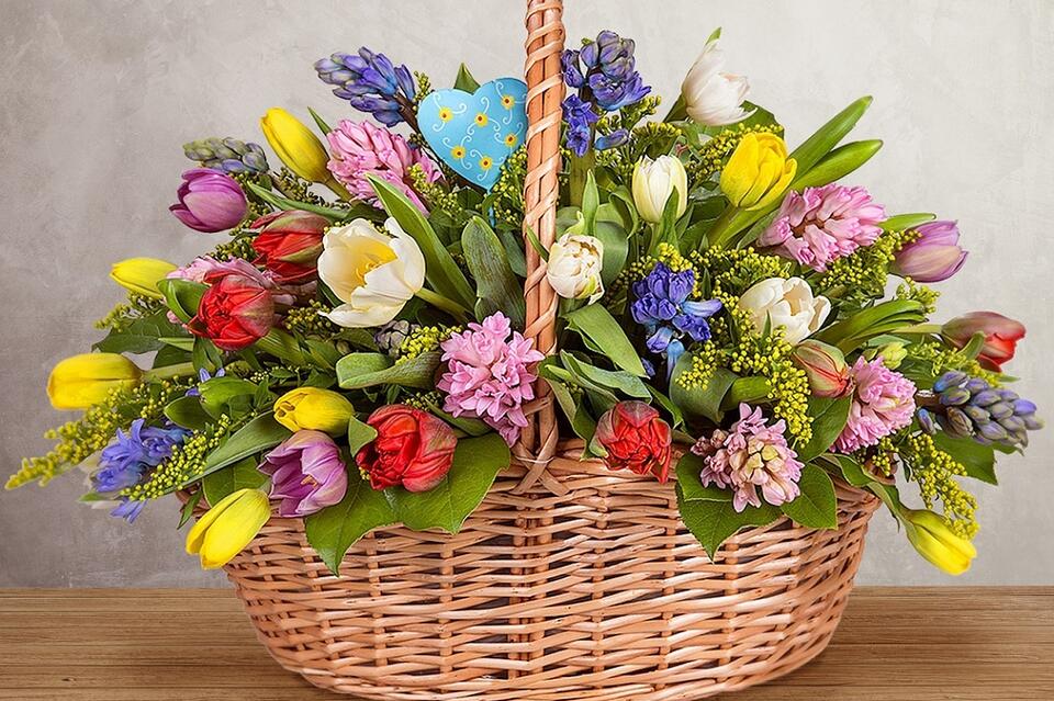 Цветы для рожденных в год Дракона - советы по выбору букетов и композиций