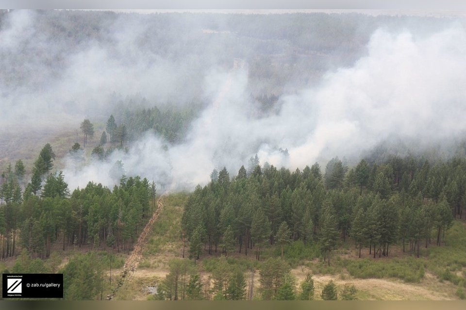 «Почти всегда виноват человек» - глава Минприроды края назвал причину пожаров