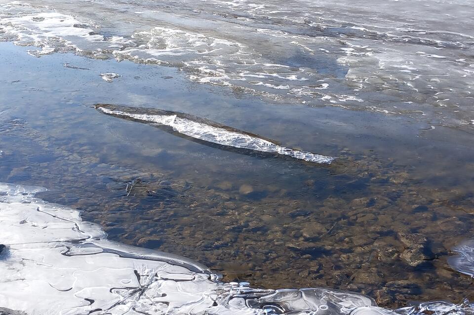 Гороскоп для жителей Забайкальского края на 2 мая